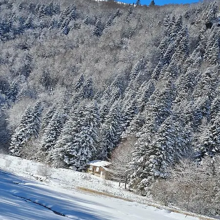 Chez Giu - Entre Ski, Et Randonnee